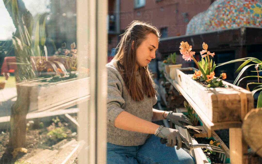 Diseño y Creación de Jardines 2025